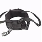 Telescoping back belt