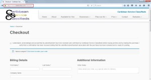 CSC HTTPS checkout billing details page (Click to Enlarge)